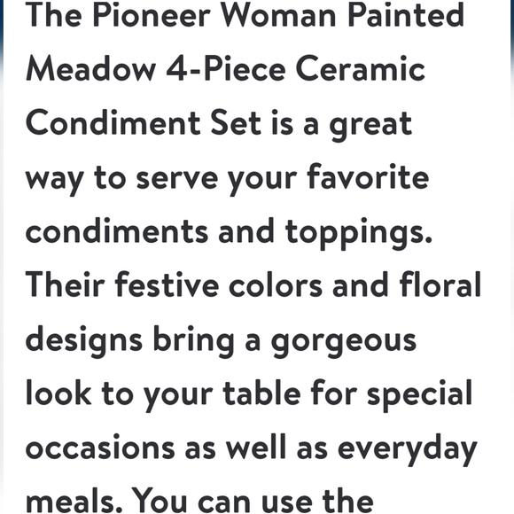 2024 ❤️ New Pioneer Woman Painted Meadow 4-Piece Ceramic Condiment Set - Picture 2 of 10
